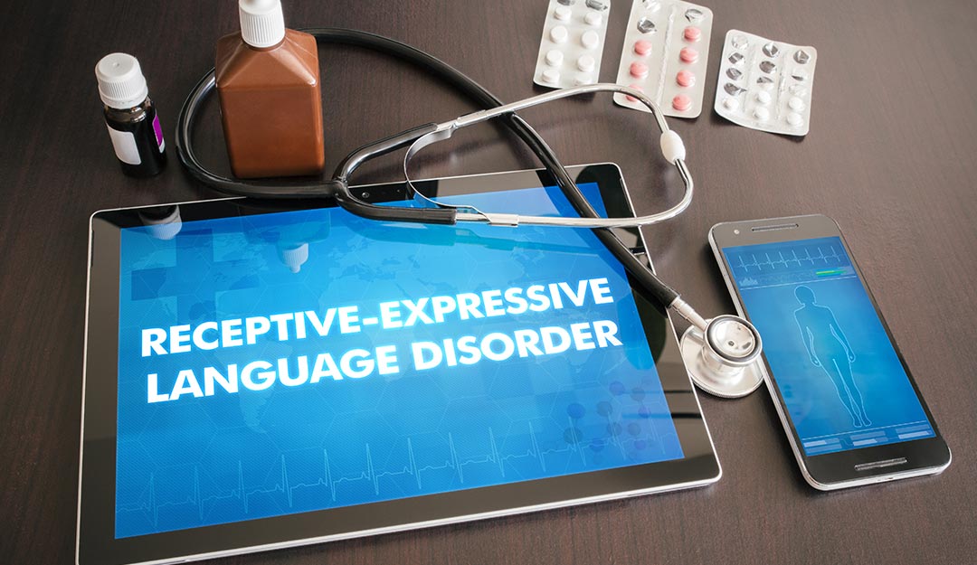 What is Mixed Receptive-Expressive Language Disorder?